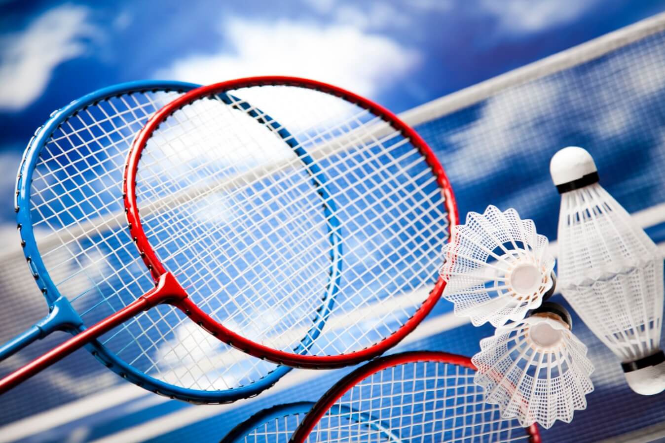 raquette bleue et rouge de badminton et 2 volants près du filet sous un ciel bleu