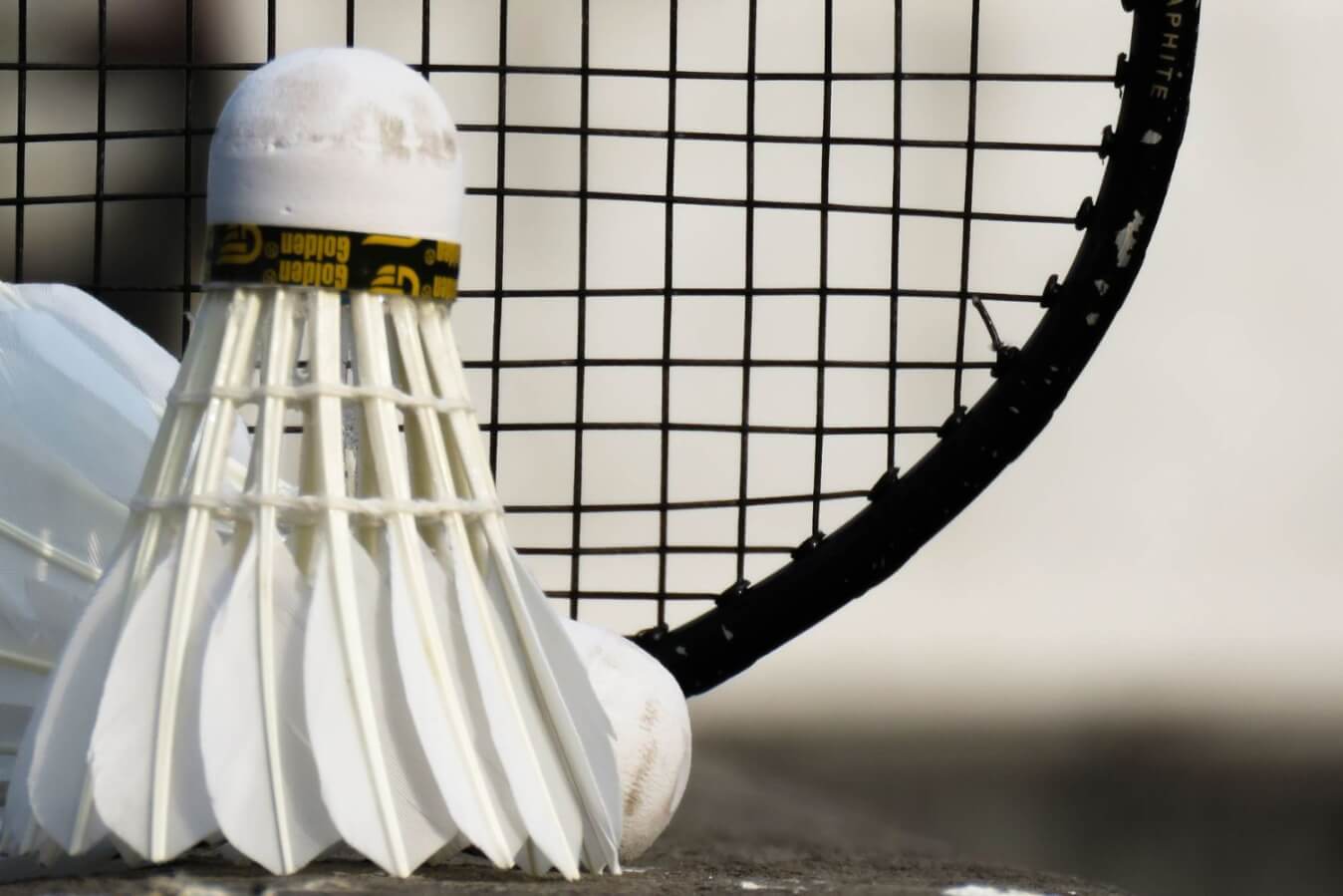 2 volants et une raquette de badminton noire